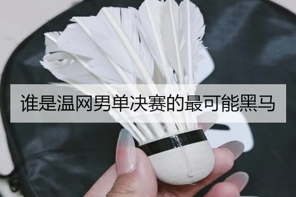 谁是温网男单决赛的最可能黑马